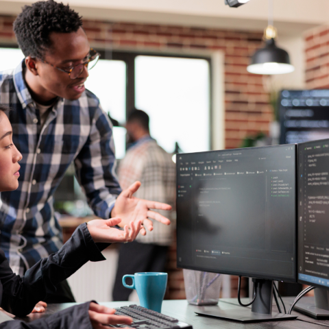 Streamlining Processes: How Custom Software Development Elevates Your Business