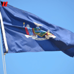 LLC Formation In New York + EIN + Shared Address